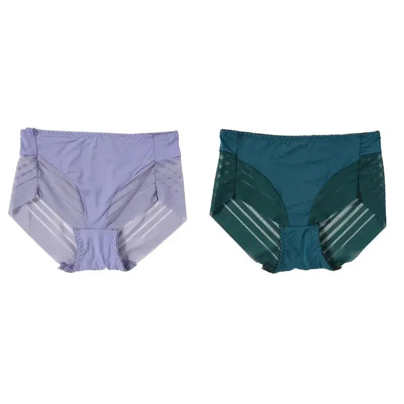 2PCS High Waist Briefs Women Seamless Panties Transparent Mesh High Elastic Tummy Control Underwear Female Lingere Underpant Streetsharks