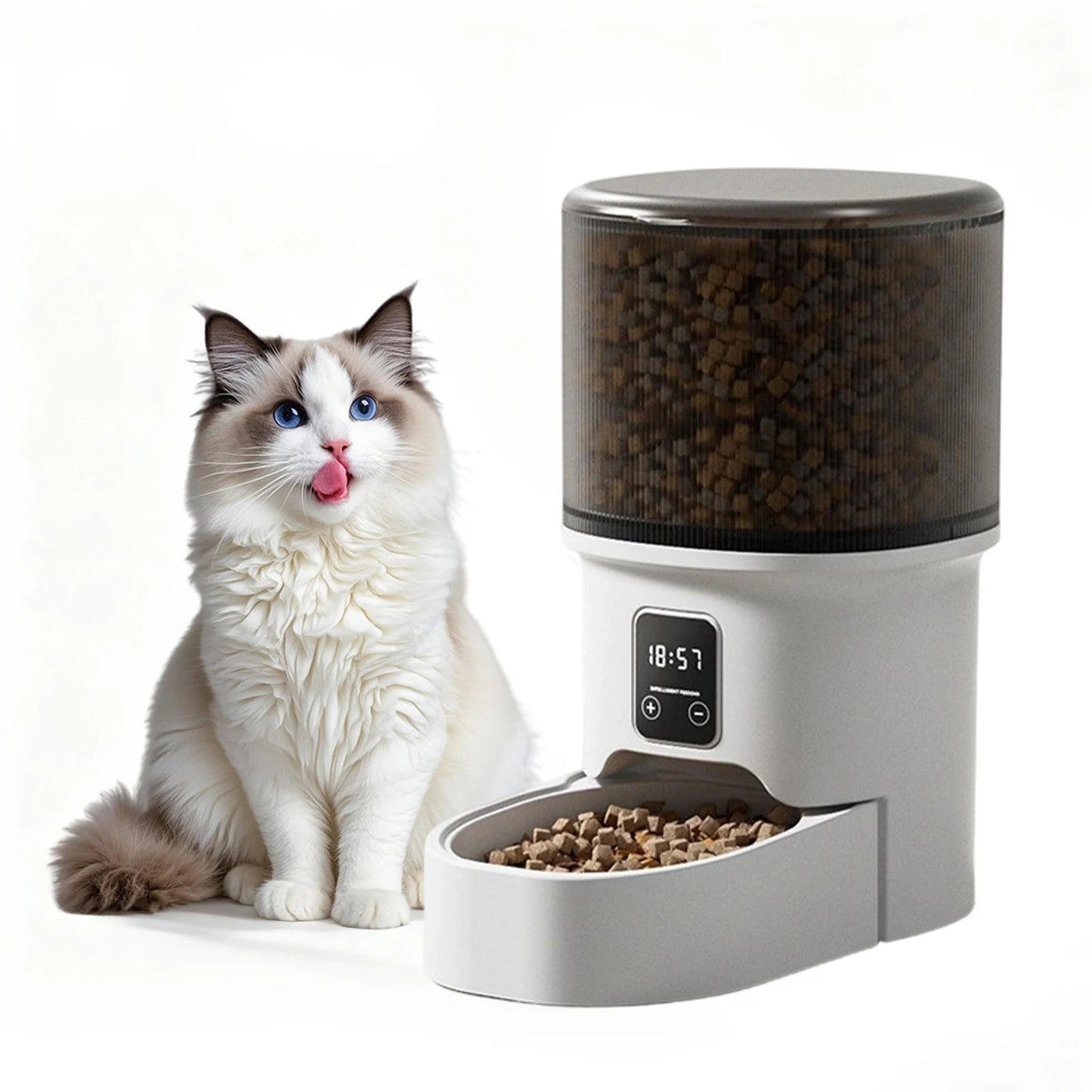 4L Automatic Cat Feeder with Timer Up to 6 Meals Per Day,Portion Control,Button Control for Cats & Small Dogs Pet Products luxecrown.co.uk