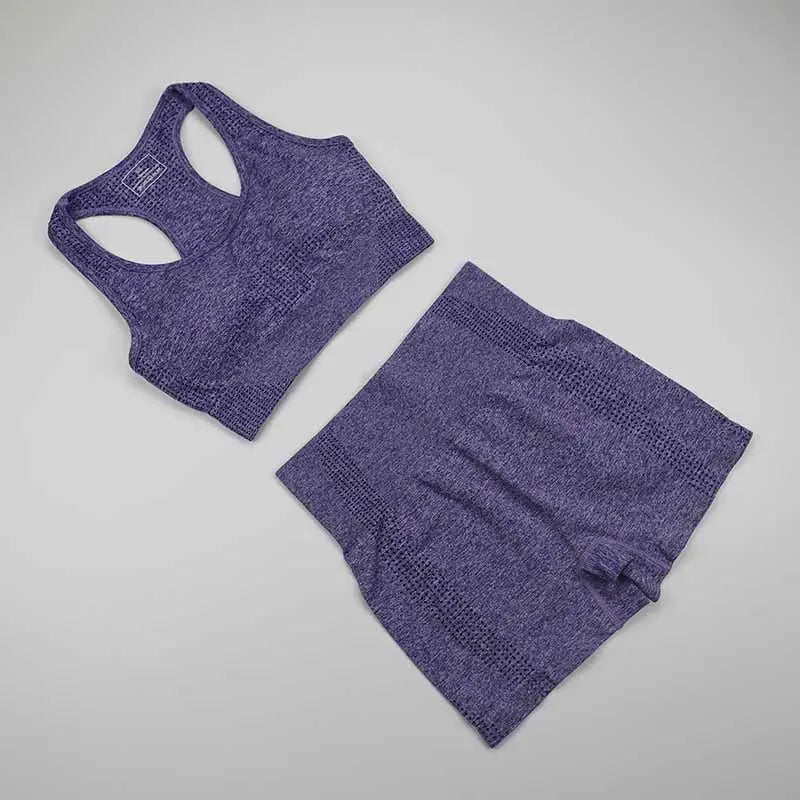 Workout Clothes For Women Yoga Sports Suits Sport Bra Top+High Waist Fitness Shorts 2-Piece Gym Set Running Sportswear Streetsharks