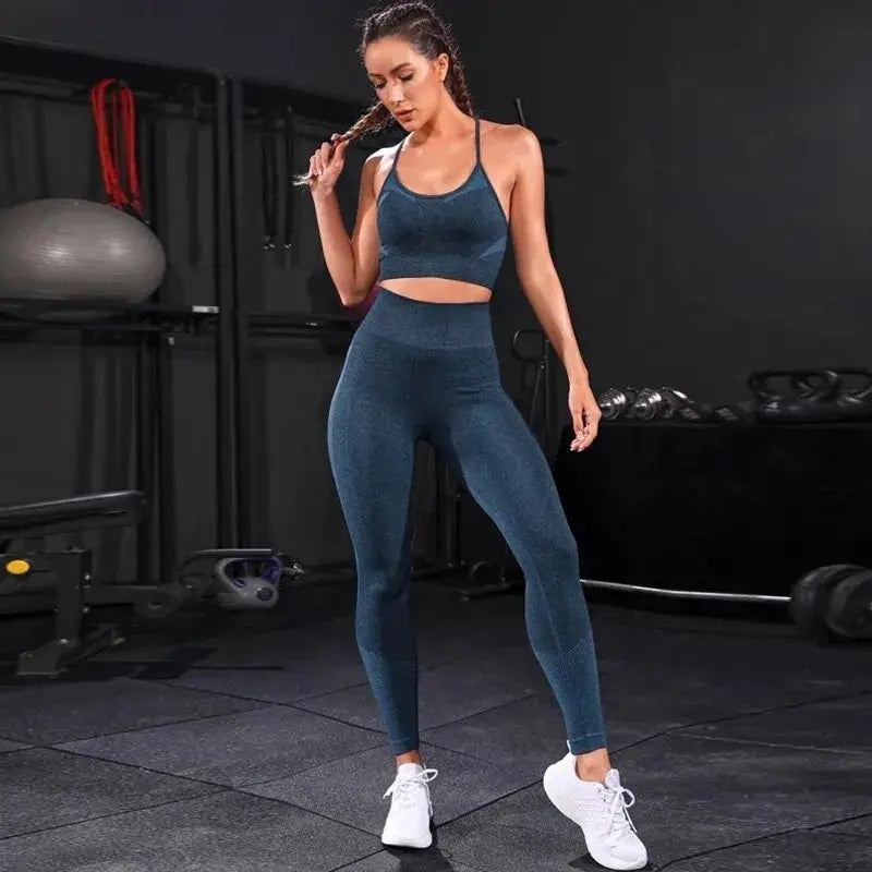 2 Pieces Women's Tracksuit Seamless Yoga Set Workout Sportswear Gym Clothing High Waist Leggings Fitness Sports Suits luxecrown.co.uk