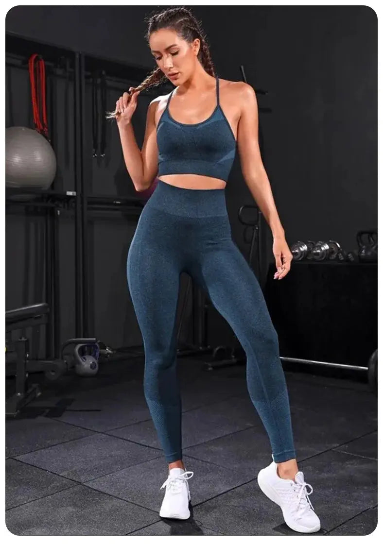 2 Pieces Women's Tracksuit Seamless Yoga Set Workout Sportswear Gym Clothing High Waist Leggings Fitness Sports Suits luxecrown.co.uk