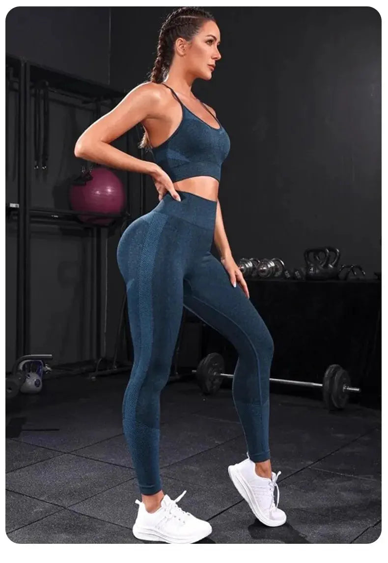 2 Pieces Women's Tracksuit Seamless Yoga Set Workout Sportswear Gym Clothing High Waist Leggings Fitness Sports Suits luxecrown.co.uk