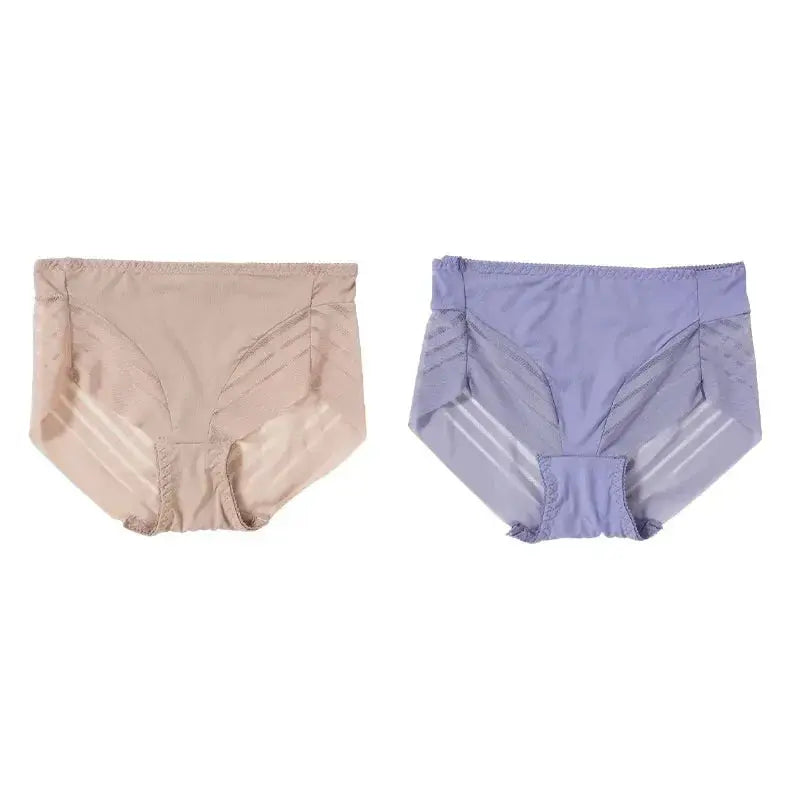 2PCS High Waist Briefs Women Seamless Panties Transparent Mesh High Elastic Tummy Control Underwear Female Lingere Underpant Streetsharks