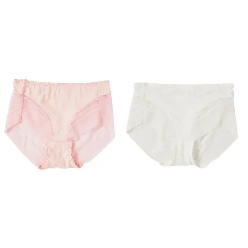 2PCS High Waist Briefs Women Seamless Panties Transparent Mesh High Elastic Tummy Control Underwear Female Lingere Underpant Streetsharks