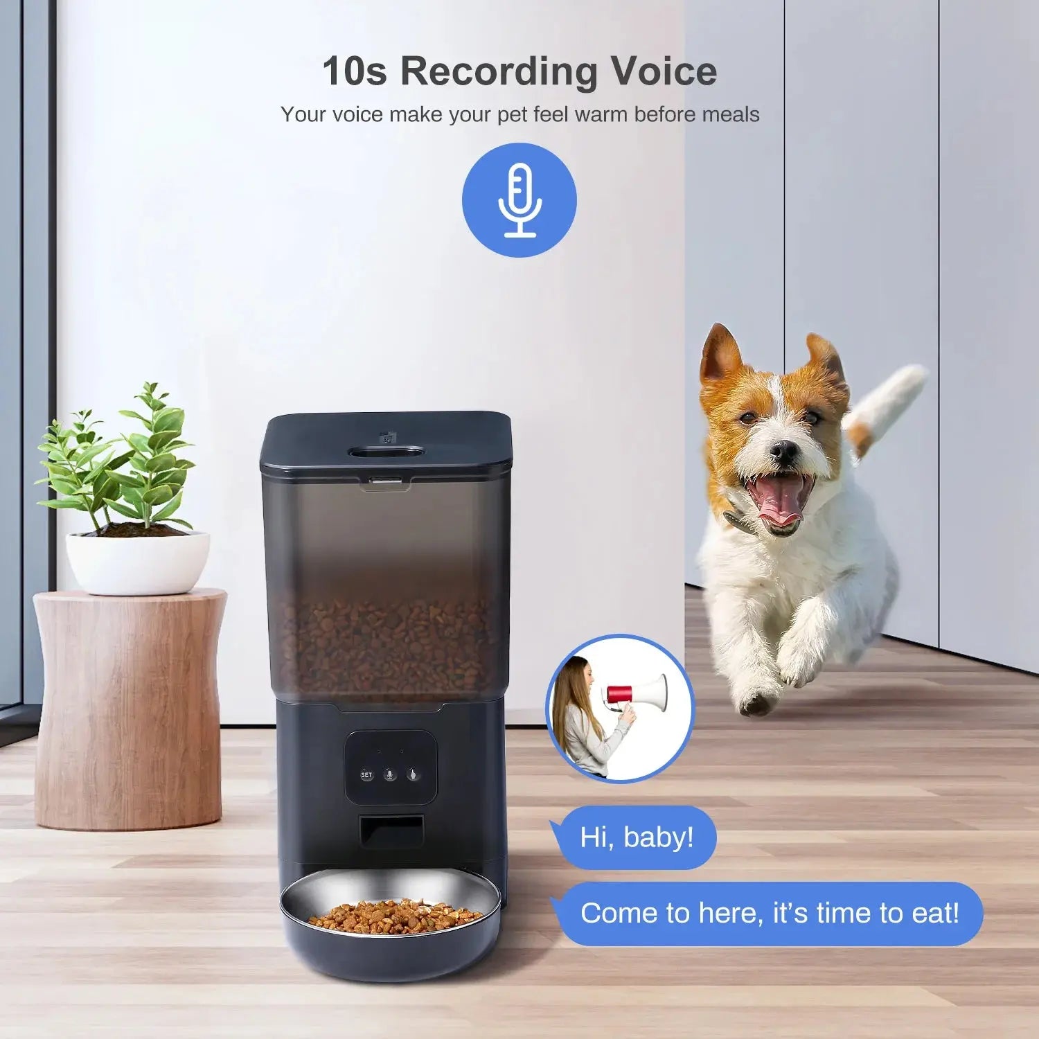 6L Dog Automatic Feeder Transparent Pet Smart Feeder 2L Cats Dispenser Feeding Bowl Remote Tuya WIFI Control Dry Food Pet Feeder luxecrown.co.uk