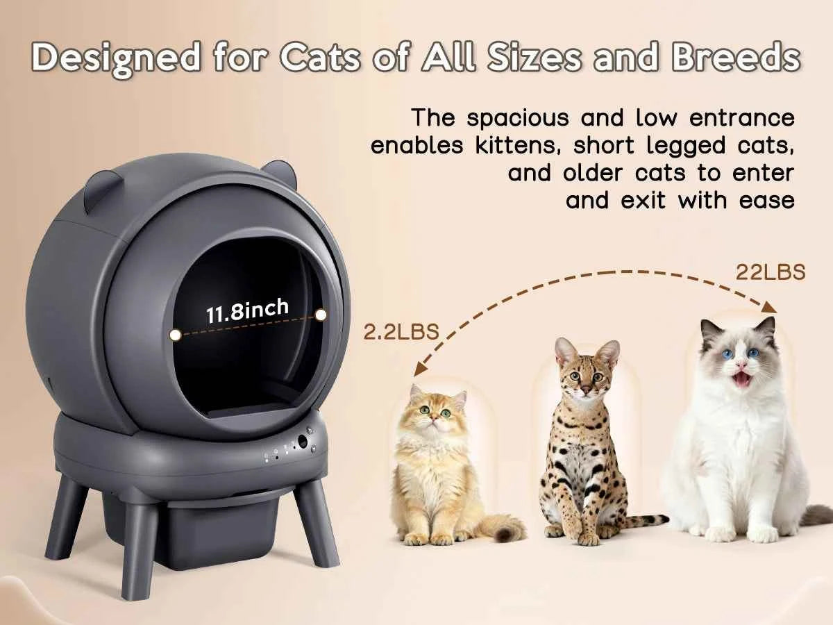 The Cumridge Self-Cleaning Litter Box is a high-performance, hygienic solution designed specifically for multi-cat households.