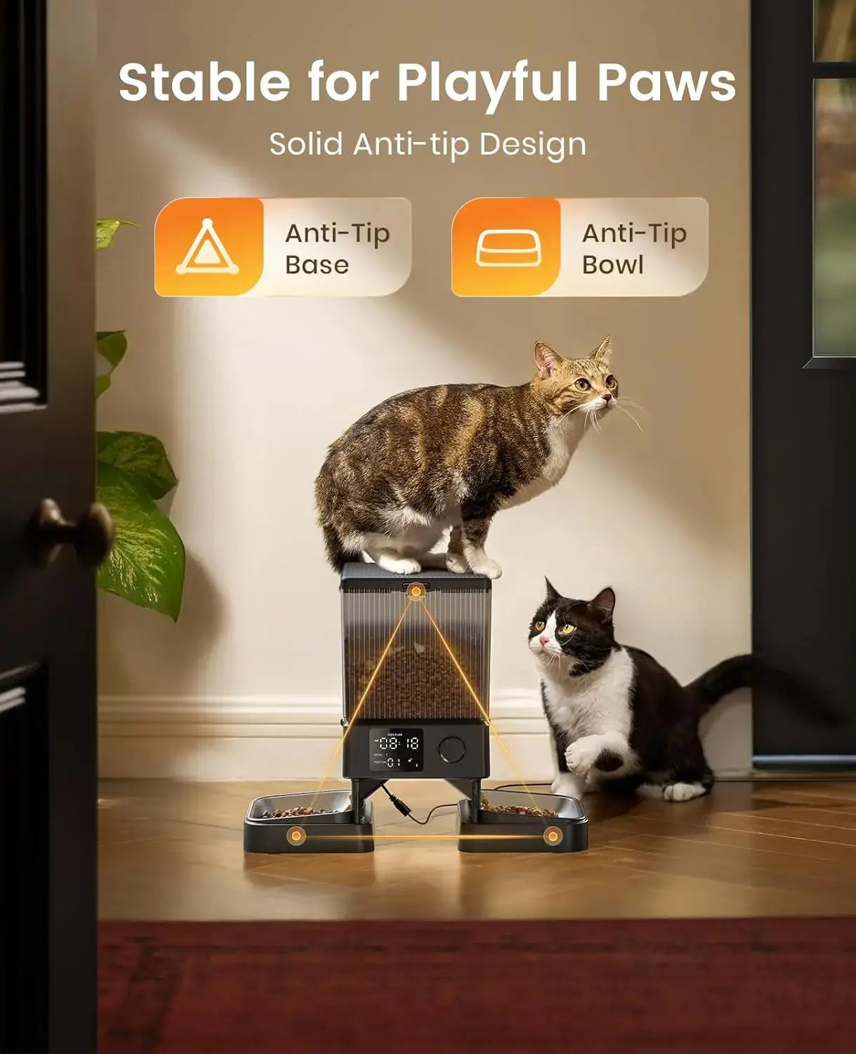 Automatic Cat Feeder for 2 Cats, 5L/20 Cups Capacity, Timed Dry Food Dispenser with Voice Recorder luxecrown.co.uk