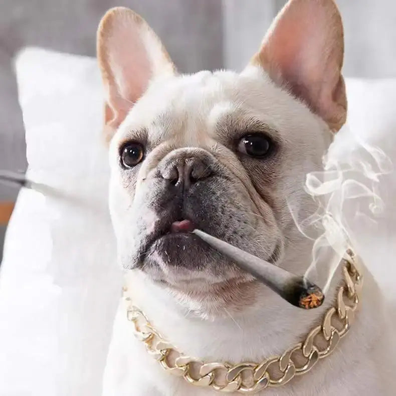 Luxury Dog Collar Gold Dog Chain Choker For Pitbull Bulldog Teddy French Bulldog Metal Collar Pet Necklace Pets Jewelry Products luxecrown.co.uk