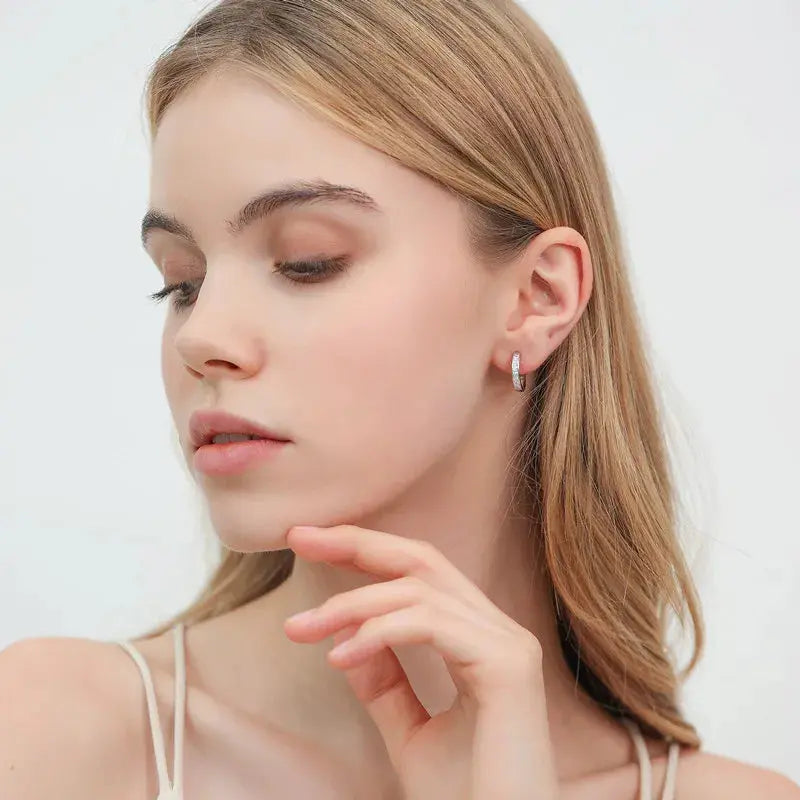 New 925 Sterling Silver Shining Zircon Earrings Women's Circle Round Earrings Fashionable and Elegant Jewelry Birthday Gift Streetsharks