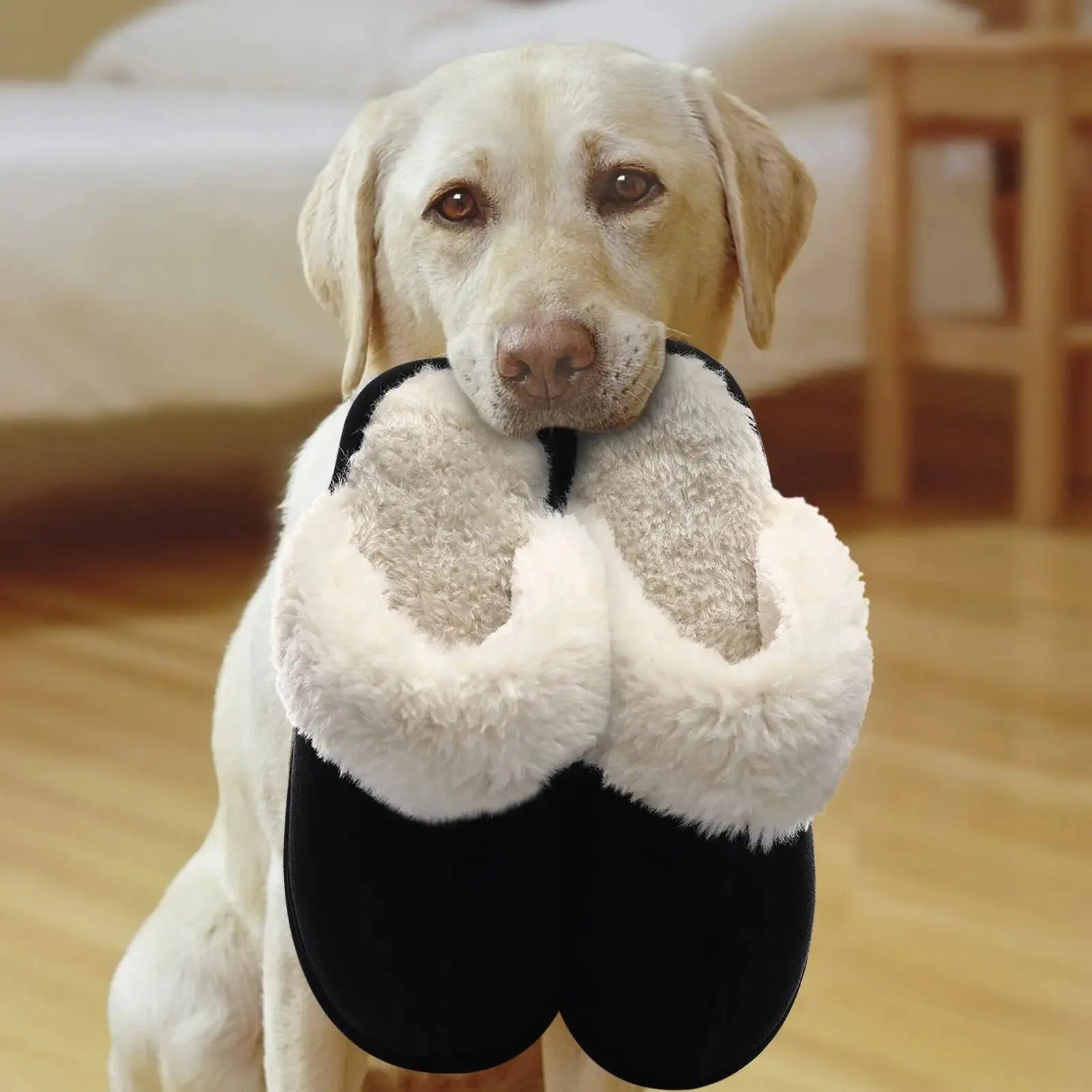 New Winter Fuzzy Women Slippers Indoor Soft House Shoes Fashion Brand Fluffy Suede Women Shoes Outdoor Antiskid Flat Slippers Streetsharks