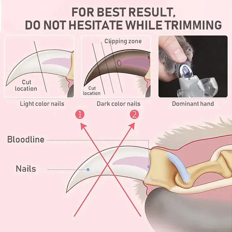 Professional Pet Nail Clipper Scissors With LED Light Cat Dog Nail Clipper Tool Scissors Nail Toeclaw Cutter Scissors Pet Supply luxecrown.co.uk