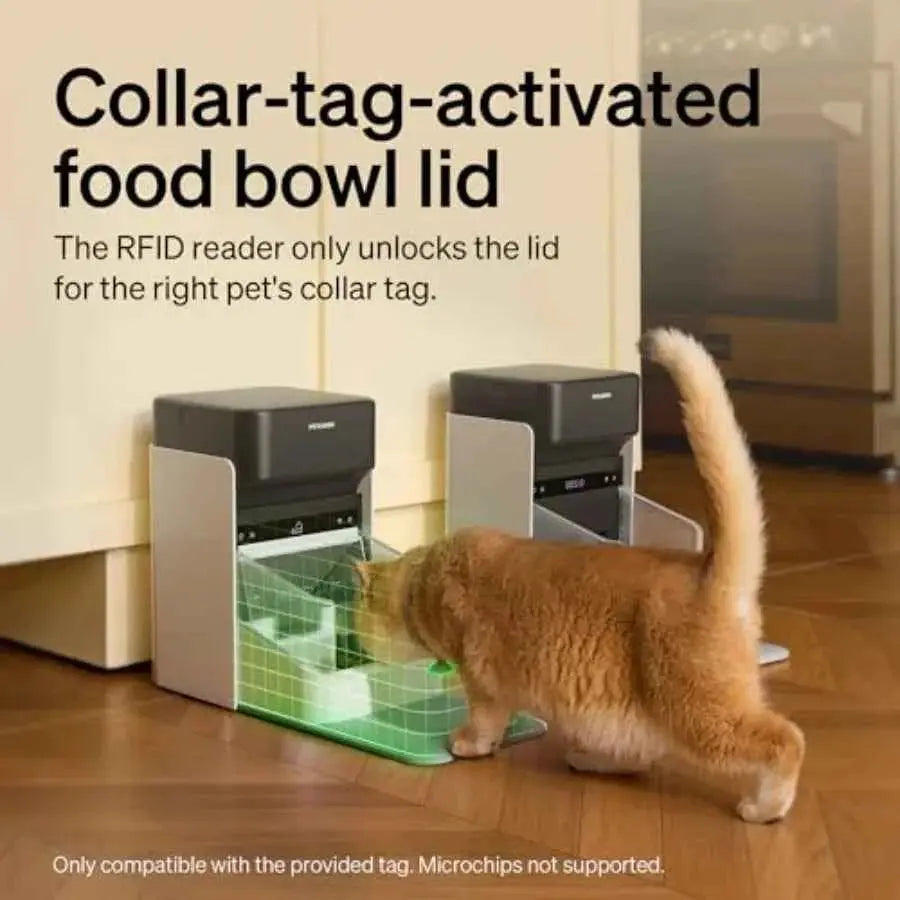 RFID Automatic Cat Feeder for Multi-Pet Homes: Stainless Steel White Sensor-Activated Personalized Meals with Food Desiccant Ba