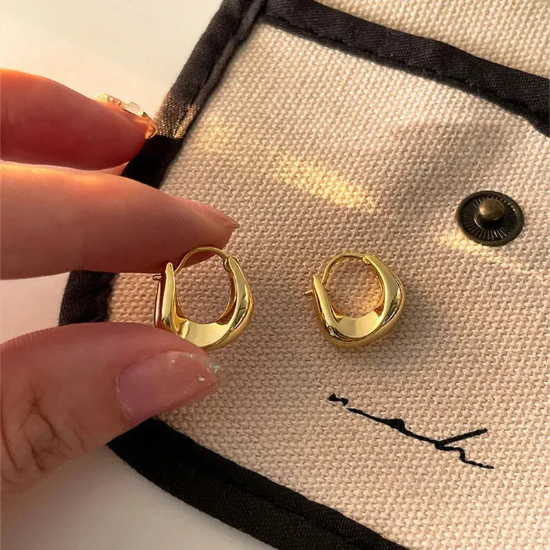 Retro Stainless Steel Twisted Spiral Statement Earrings for Women Girls Party Wedding Jewelry Geometry Gold Color Metal Earrings Streetsharks