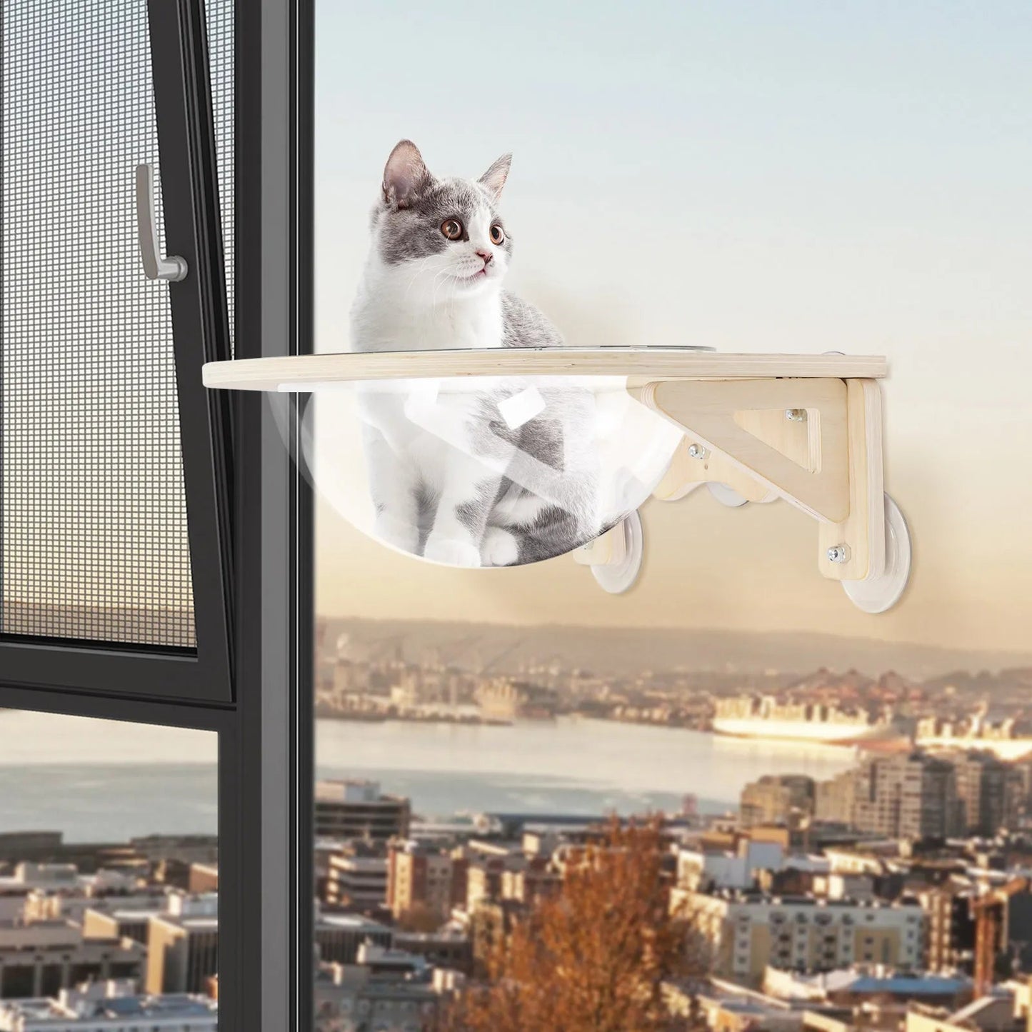 Clear Cat House Wall-Mounted Wooden Cat Space Capsule Clear Capsule Kitten Walls Shelves 15.75inch Load-bearing Up to 16.53lbs luxecrown.co.uk