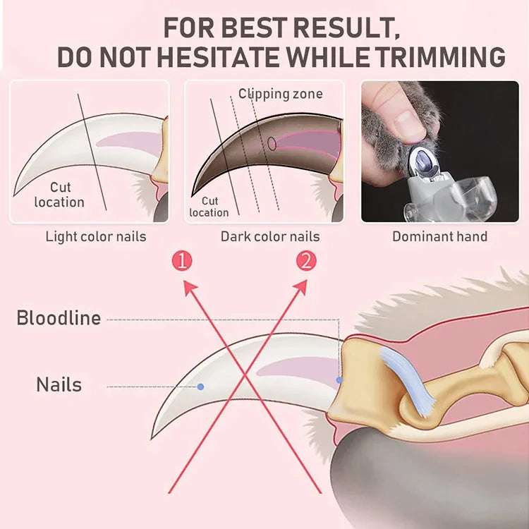Professional Pet Nail Clipper Scissors With LED Light Cat Dog Nail Clipper Tool Scissors Nail Toeclaw Cutter Scissors Pet Supply luxecrown.co.uk