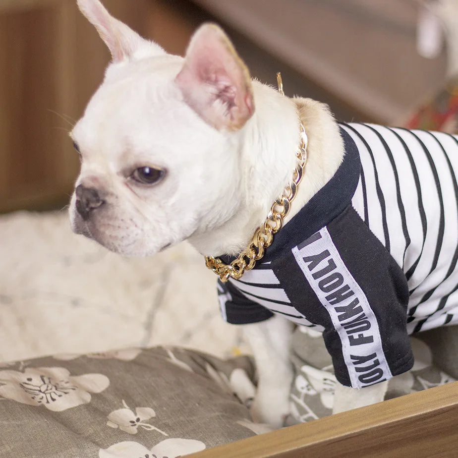 Luxury Dog Collar Gold Dog Chain Choker For Pitbull Bulldog Teddy French Bulldog Metal Collar Pet Necklace Pets Jewelry Products luxecrown.co.uk