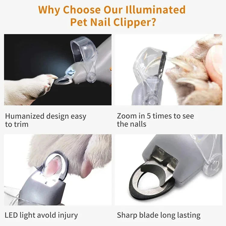 Professional Pet Nail Clipper Scissors With LED Light Cat Dog Nail Clipper Tool Scissors Nail Toeclaw Cutter Scissors Pet Supply luxecrown.co.uk