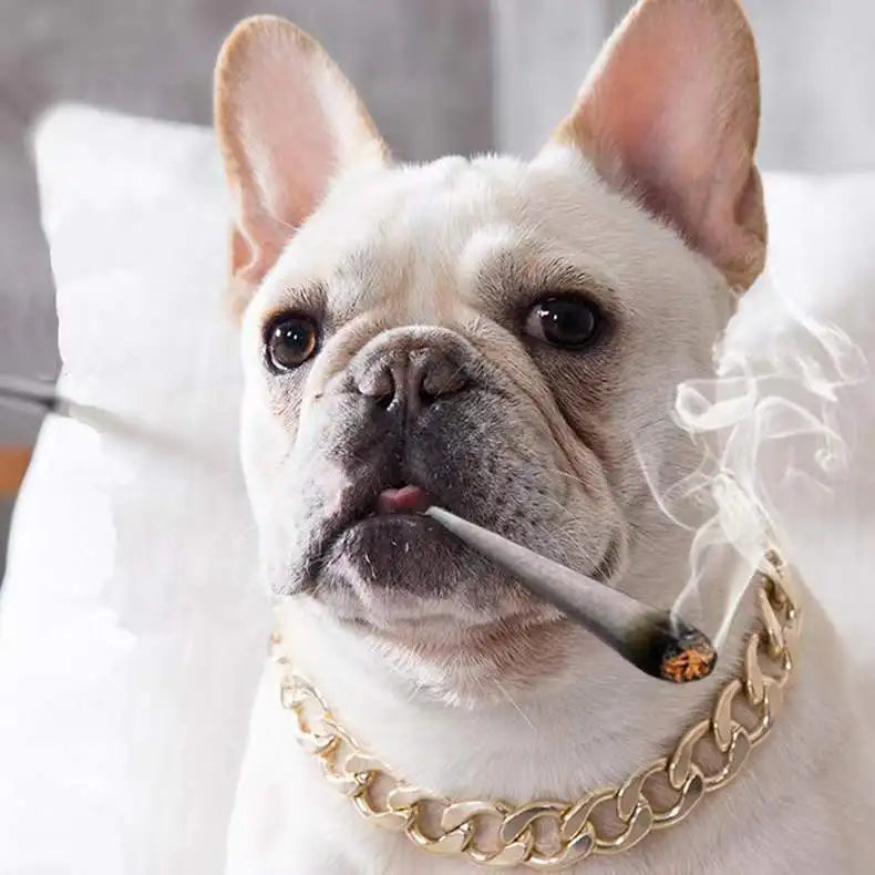 Luxury Dog Collar Gold Dog Chain Choker For Pitbull Bulldog Teddy French Bulldog Metal Collar Pet Necklace Pets Jewelry Products luxecrown.co.uk