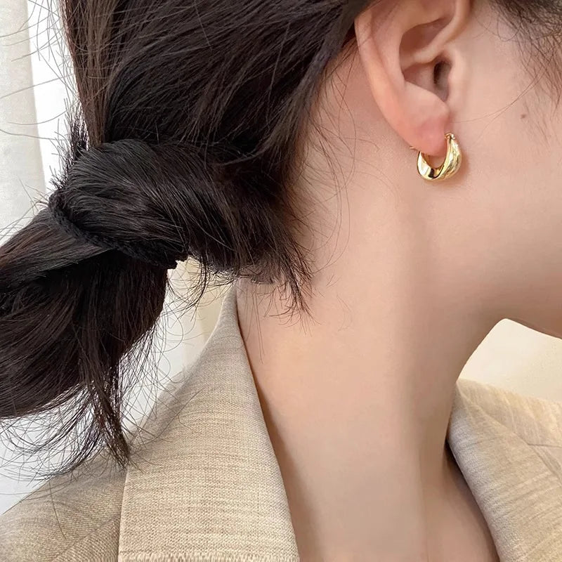 Retro Stainless Steel Twisted Spiral Statement Earrings for Women Girls Party Wedding Jewelry Geometry Gold Color Metal Earrings Streetsharks
