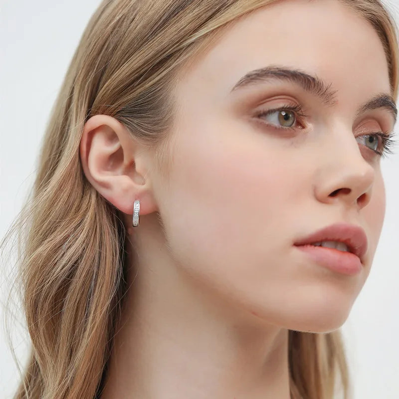 New 925 Sterling Silver Shining Zircon Earrings Women's Circle Round Earrings Fashionable and Elegant Jewelry Birthday Gift Streetsharks