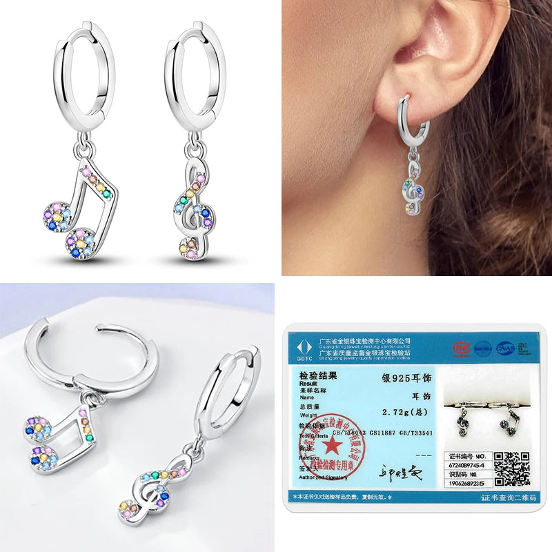 2025 Original 925 Sterling Silver Hoop Earring Zirconia Irregularity Stud Earring For Women Engagement Birthday Jewelry Gift Streetsharks