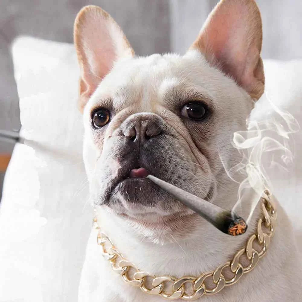 Luxury Dog Collar Gold Dog Chain Choker For Pitbull Bulldog Teddy French Bulldog Metal Collar Pet Necklace Pets Jewelry Products luxecrown.co.uk