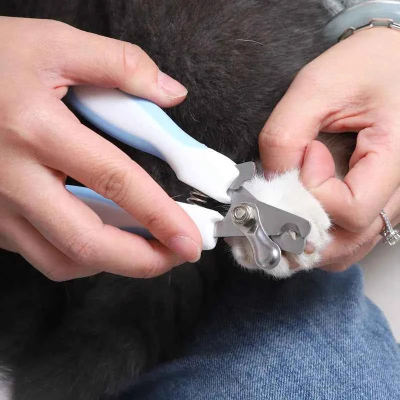 Stainless Steel Grooming Scissors Nail Clippers Multifunctional Teddy Cat Pet Nail Clippers with Sickle Large Dog Nail Clippers