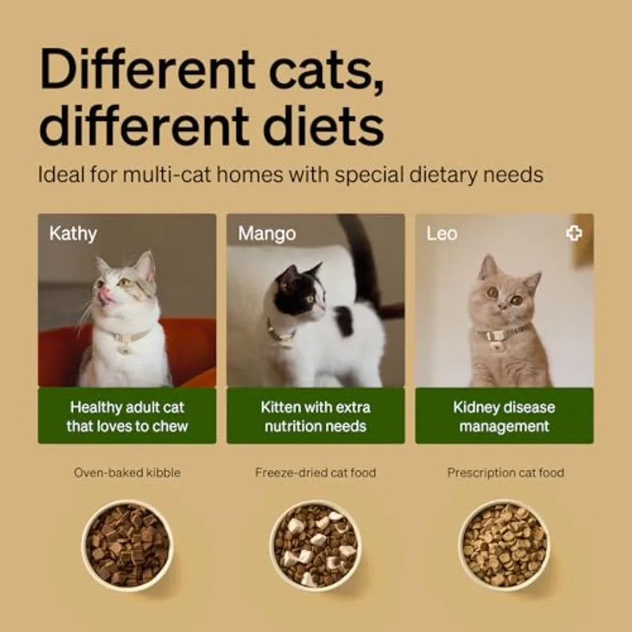 RFID Automatic Cat Feeder for Multi-Pet Homes: Stainless Steel White Sensor-Activated Personalized Meals with Food Desiccant Ba luxecrown.co.uk