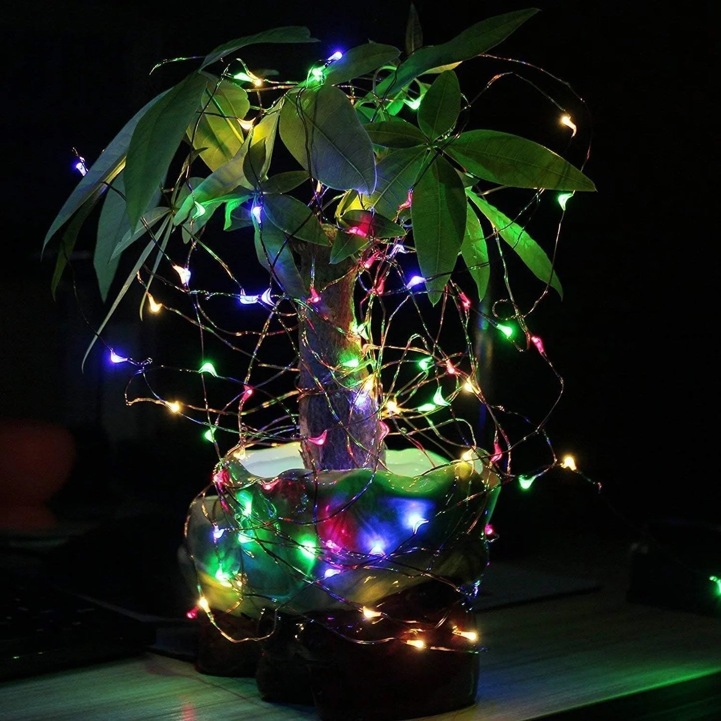 Solar String Lights,50 LED Outdoor Garden Fairy Lights Waterproof   Decorative Lights for Christmas Party Indoor Bedroom Deco Streetsharks