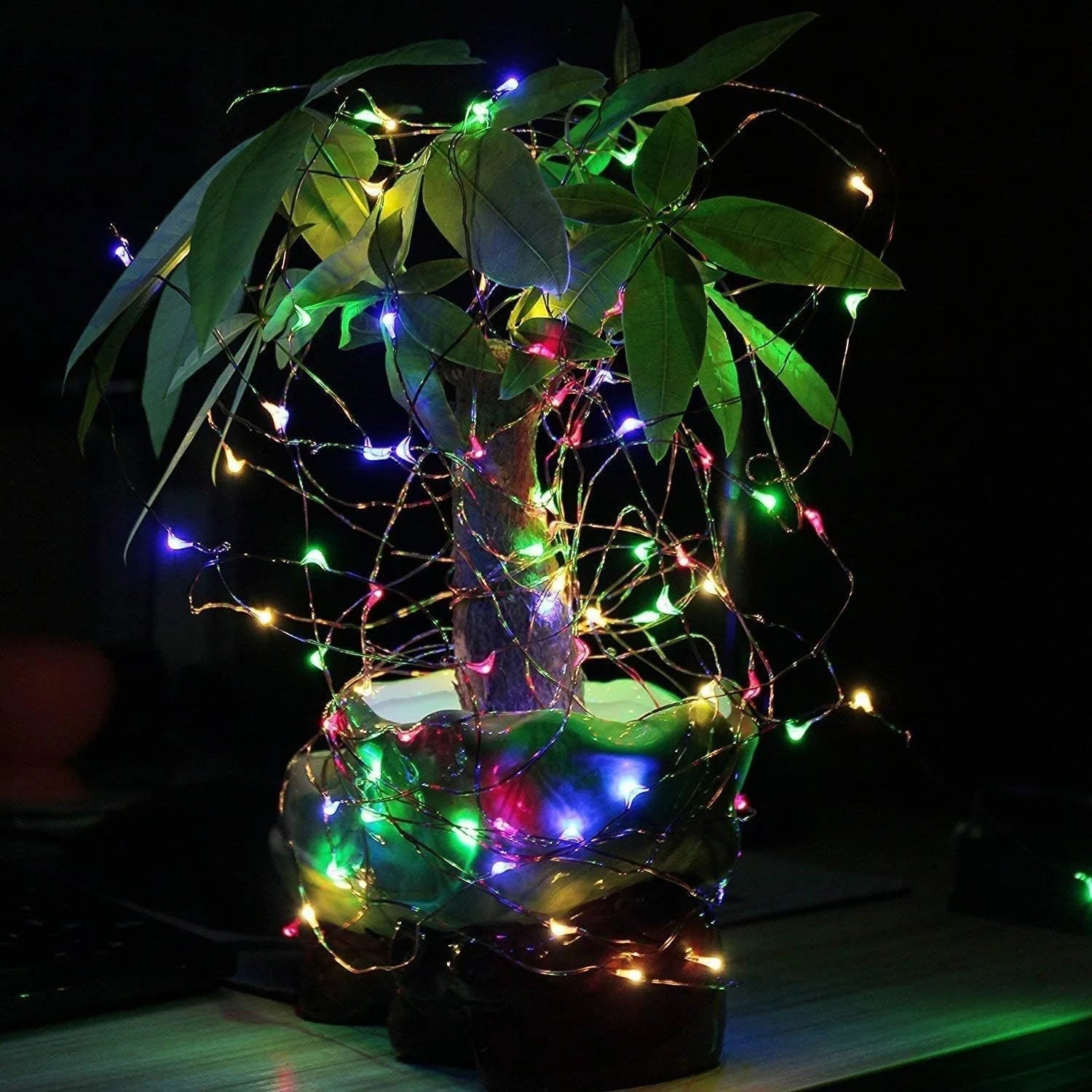 Solar String Lights,50 LED Outdoor Garden Fairy Lights Waterproof   Decorative Lights for Christmas Party Indoor Bedroom Deco Streetsharks