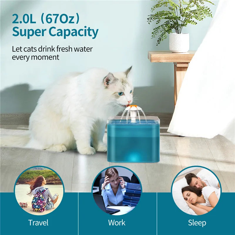 6L Dog Automatic Feeder Transparent Pet Smart Feeder 2L Cats Dispenser Feeding Bowl Remote Tuya WIFI Control Dry Food Pet Feeder luxecrown.co.uk