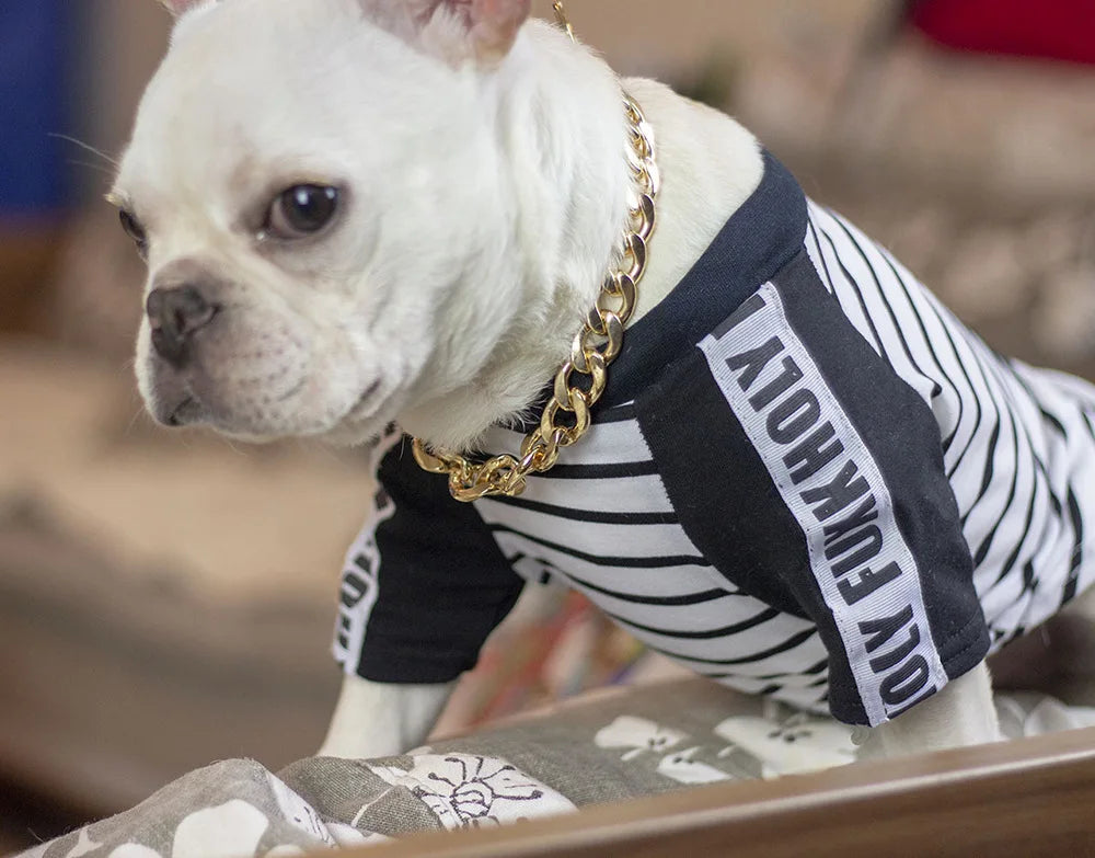 Luxury Dog Collar Gold Dog Chain Choker For Pitbull Bulldog Teddy French Bulldog Metal Collar Pet Necklace Pets Jewelry Products luxecrown.co.uk