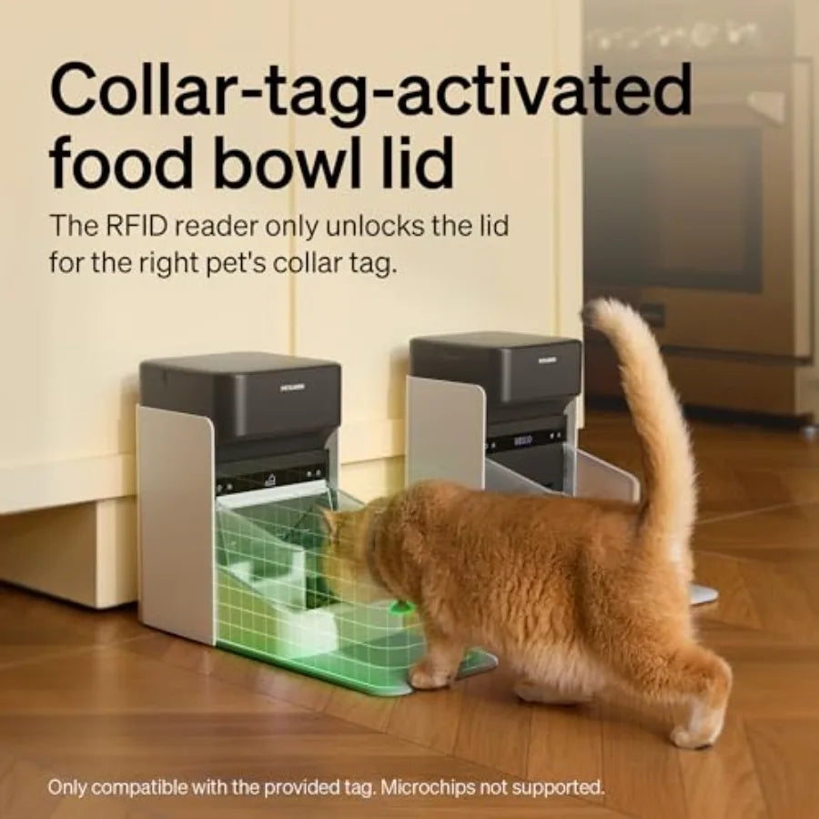 RFID Automatic Cat Feeder for Multi-Pet Homes: Stainless Steel White Sensor-Activated Personalized Meals with Food Desiccant Ba luxecrown.co.uk