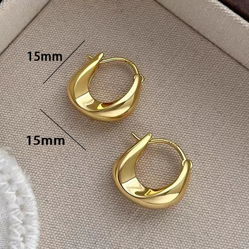 Retro Stainless Steel Twisted Spiral Statement Earrings for Women Girls Party Wedding Jewelry Geometry Gold Color Metal Earrings Streetsharks