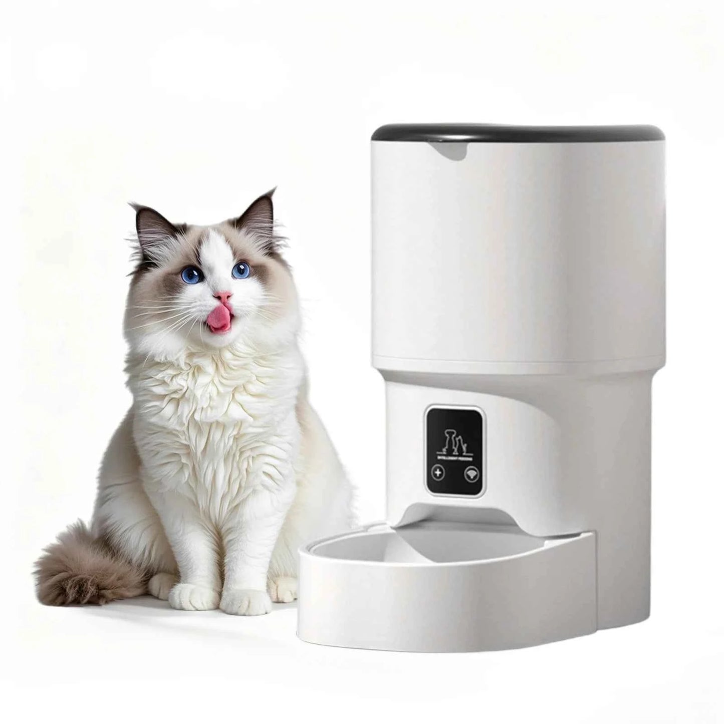 4L Automatic Cat Feeder with Timer Up to 6 Meals Per Day,Portion Control,Button Control for Cats & Small Dogs Pet Products luxecrown.co.uk