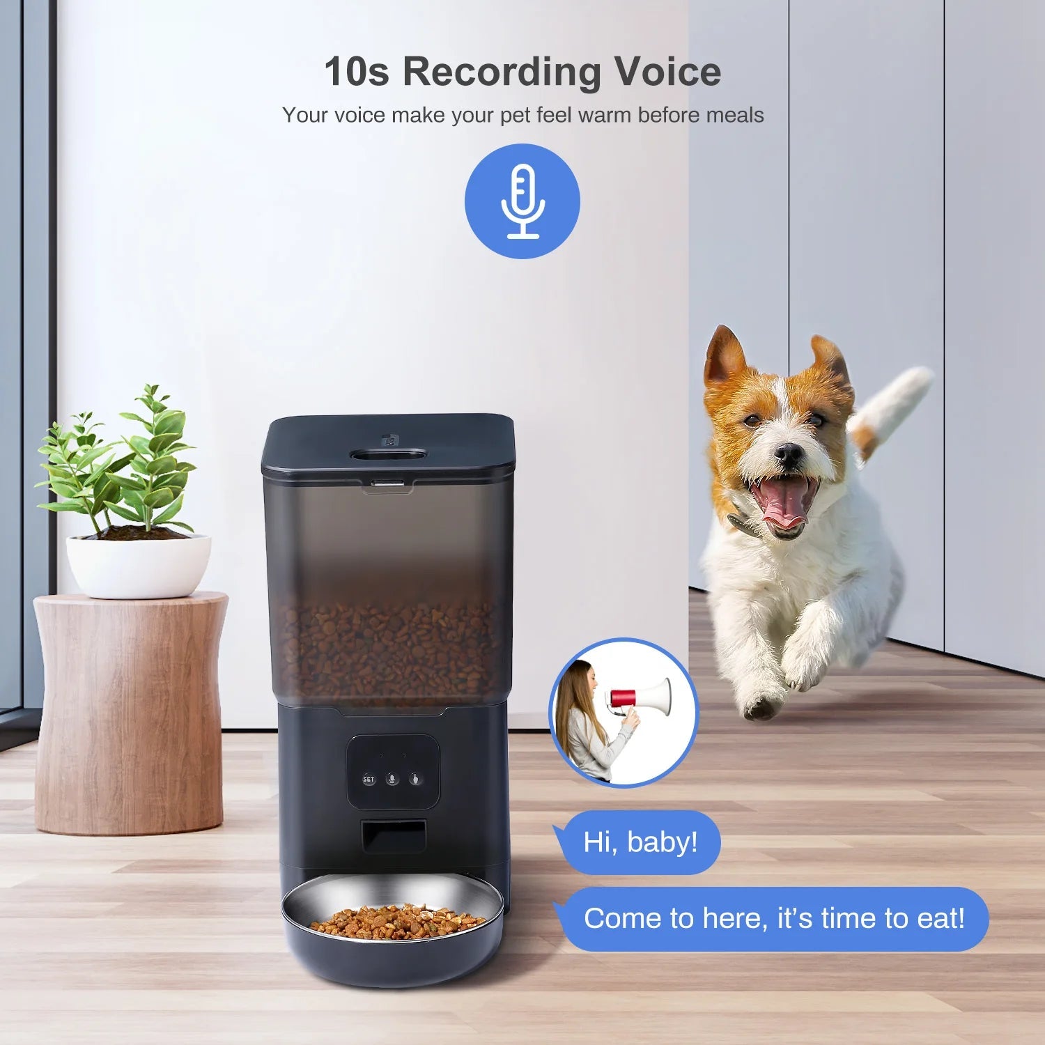 6L Dog Automatic Feeder Transparent Pet Smart Feeder 2L Cats Dispenser Feeding Bowl Remote Tuya WIFI Control Dry Food Pet Feeder luxecrown.co.uk