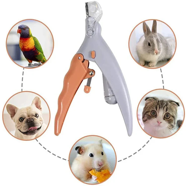 Professional Pet Nail Clipper Scissors With LED Light Cat Dog Nail Clipper Tool Scissors Nail Toeclaw Cutter Scissors Pet Supply luxecrown.co.uk