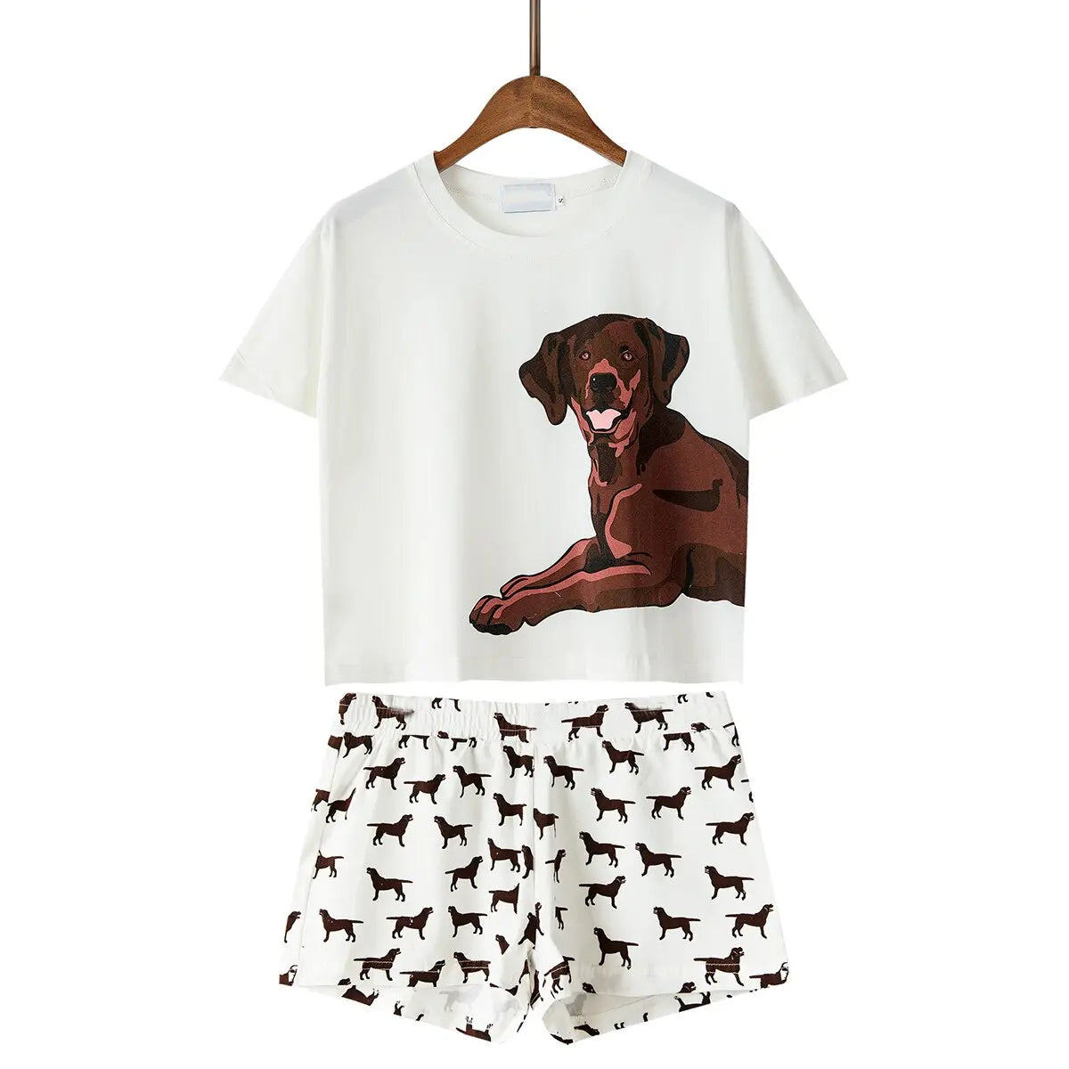 Women shots 2 Pieces Set  Crop Top Short Sleeve Shorts Elastic Waist Loose pajamas S6706 Streetsharks