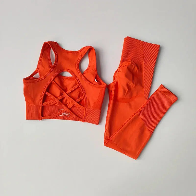 Women's Workout Set 2 Piece, High Impact Sports Bra and High Waist Leggings, Quick Dry Fitness Yoga Suit luxecrown.co.uk