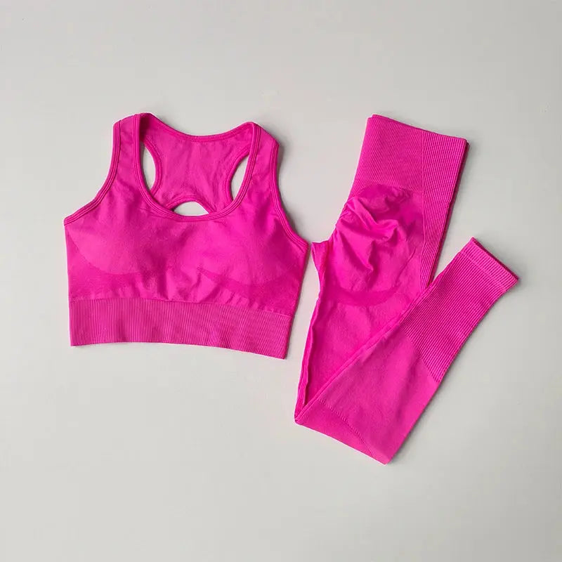 Women's Workout Set 2 Piece, High Impact Sports Bra and High Waist Leggings, Quick Dry Fitness Yoga Suit luxecrown.co.uk