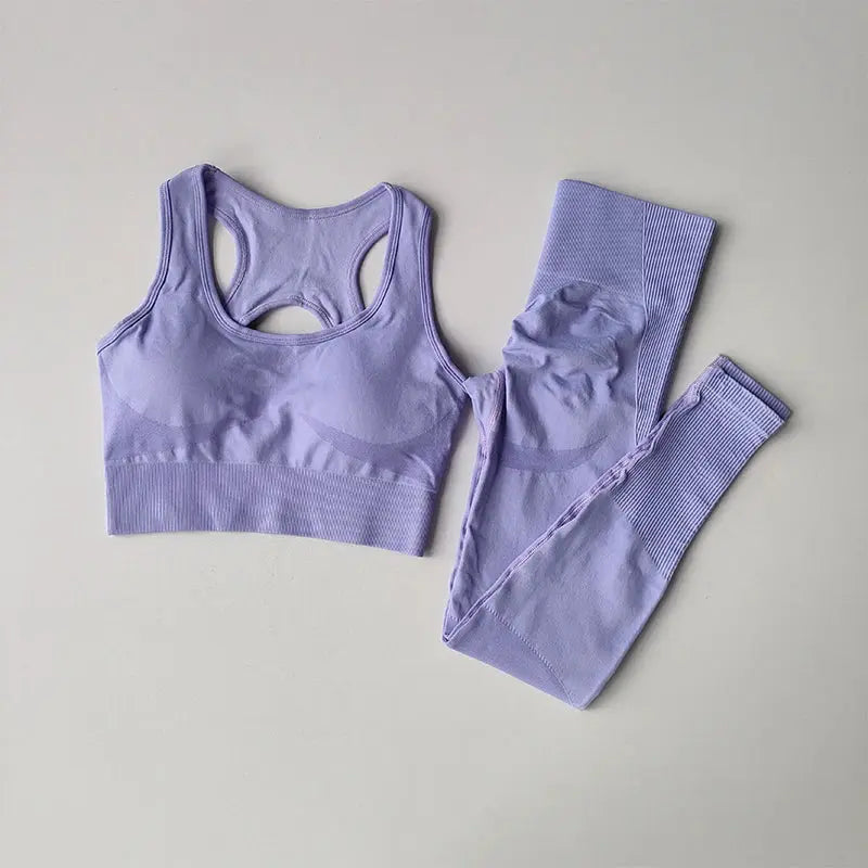 Women's Workout Set 2 Piece, High Impact Sports Bra and High Waist Leggings, Quick Dry Fitness Yoga Suit luxecrown.co.uk