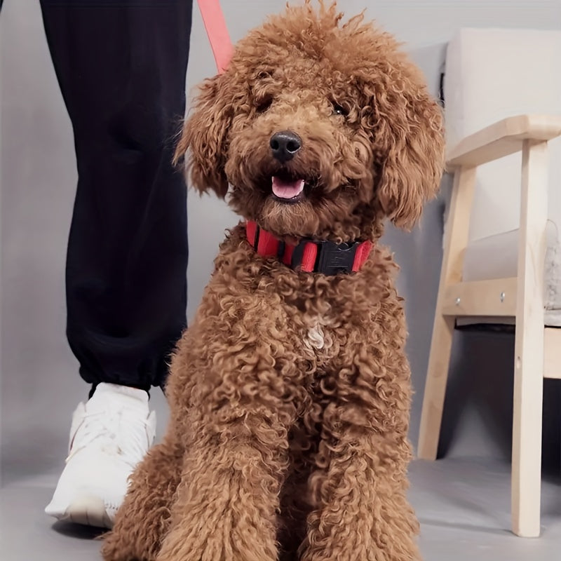 Pet Dogs Adjustable Luminous Collar For Night Safety - Striped Glow-in-the-Dark Collar For Night Walking Streetsharks